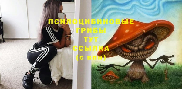 кристаллы Алзамай