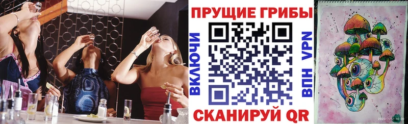 Галлюциногенные грибы мицелий  закладка  Менделеевск 
