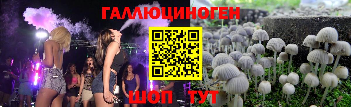 Галлюциногенные грибы Magic Shrooms  Псилоцибиновые грибы Psilocybine cubensis  где найти   Менделеевск  Вход с VPN 