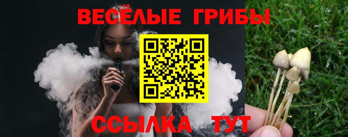 Галлюциногенные грибы мухоморы Менделеевск