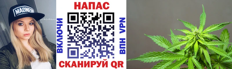 купить  сайты  Менделеевск  Каннабис MAZAR 